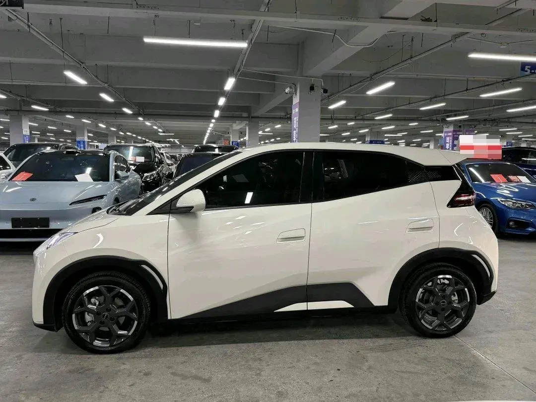 2025 BYD SEAGULL thumbnail 2