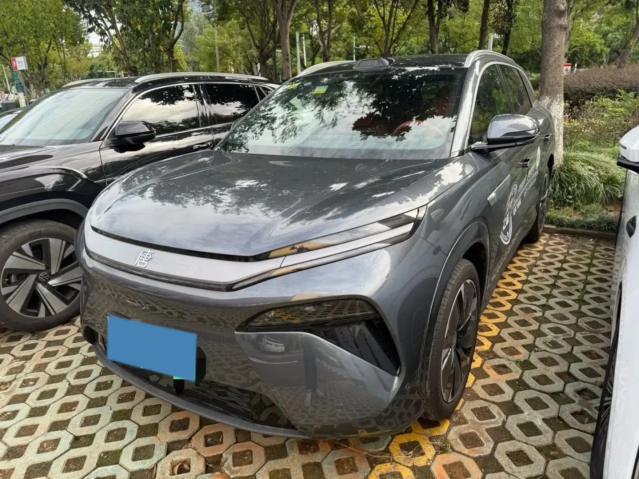 2025 BYD TANGL view 1
