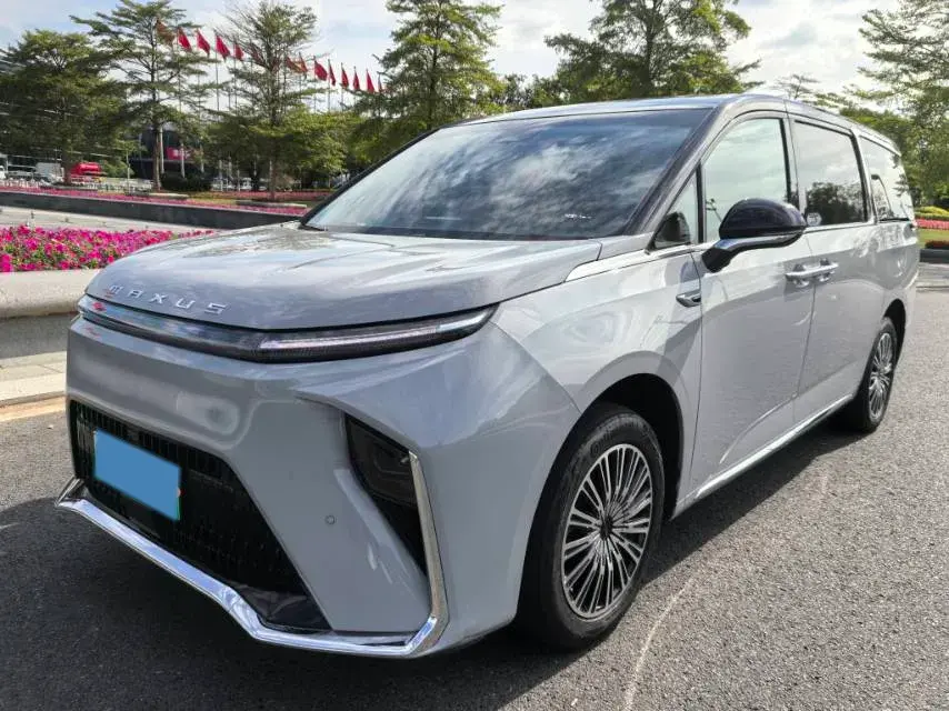 2024 MAXUS DAJIA view 1