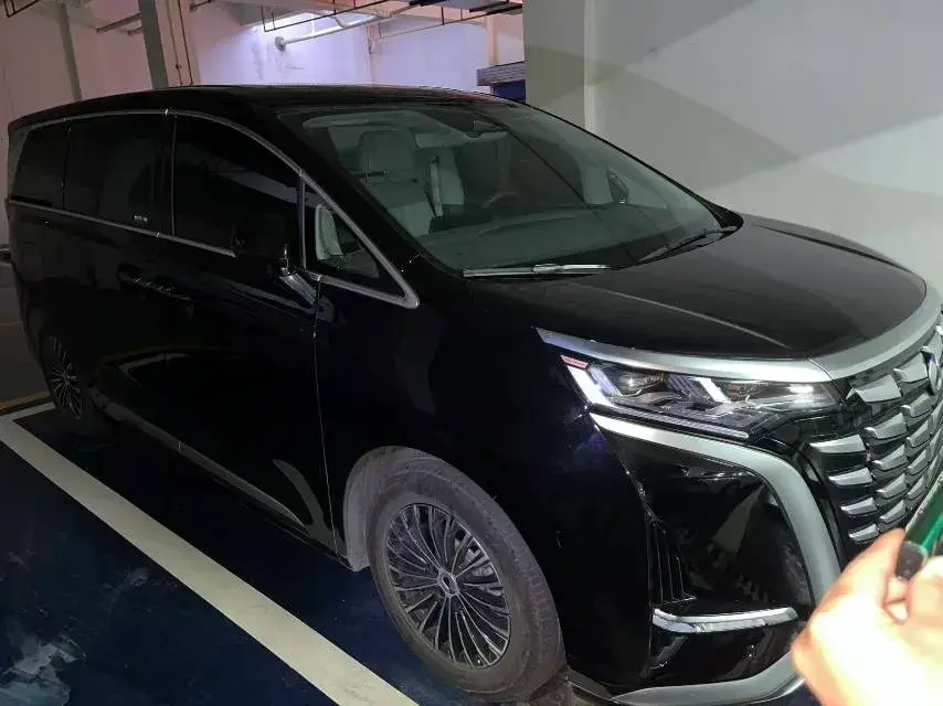 2022 DENZA D9 thumbnail 3