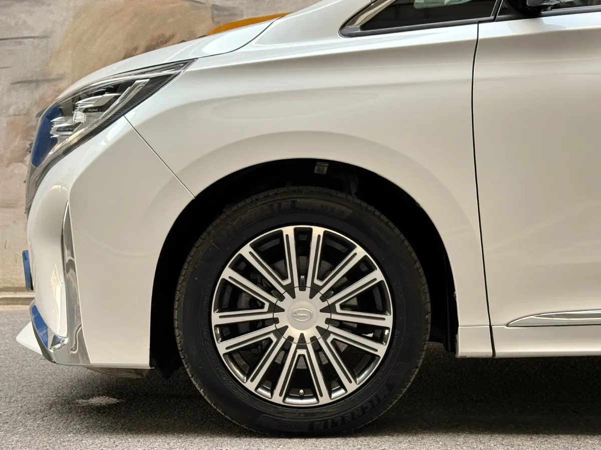 2023 GAC Trumpchi M8 2.0T 252HP L4 8AT,autocango,china used car exporter,china ev exporter,chinese used car exporter,chinese used ev exporter