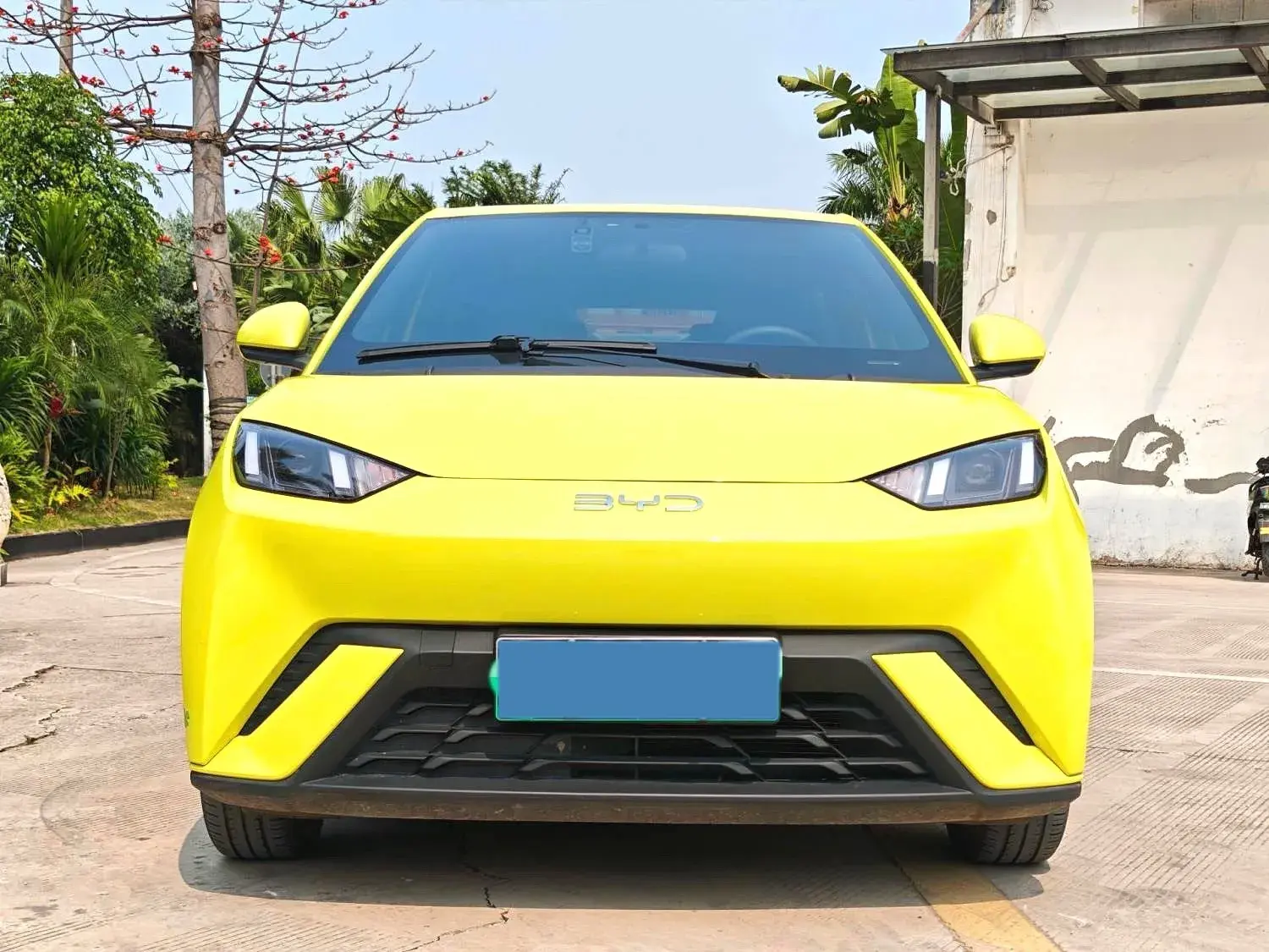 2024 BYD SEAGULL thumbnail 2