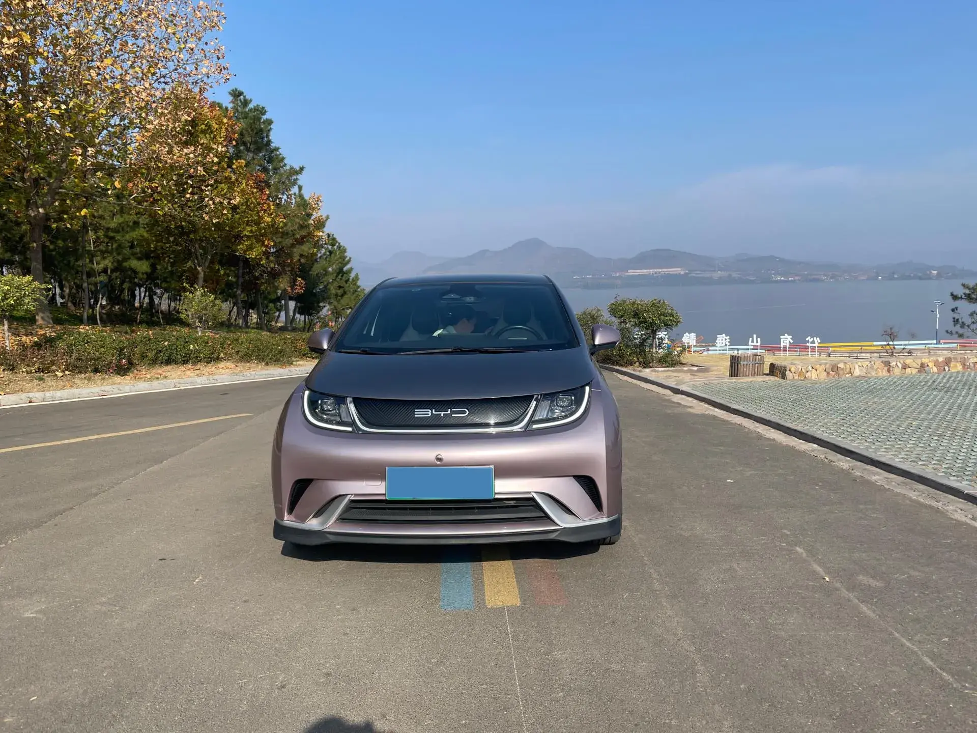 2023 BYD DOLPHIN thumbnail 2