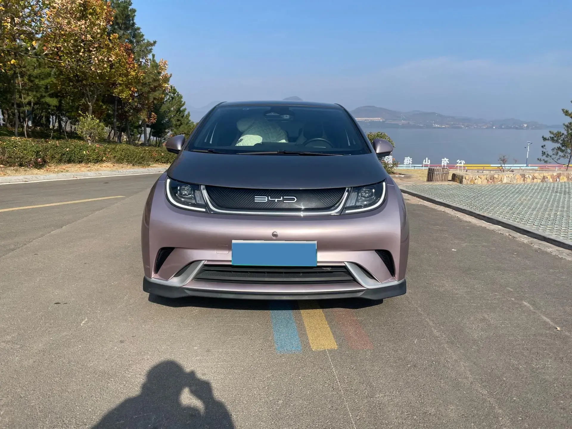 2023 BYD DOLPHIN thumbnail 4