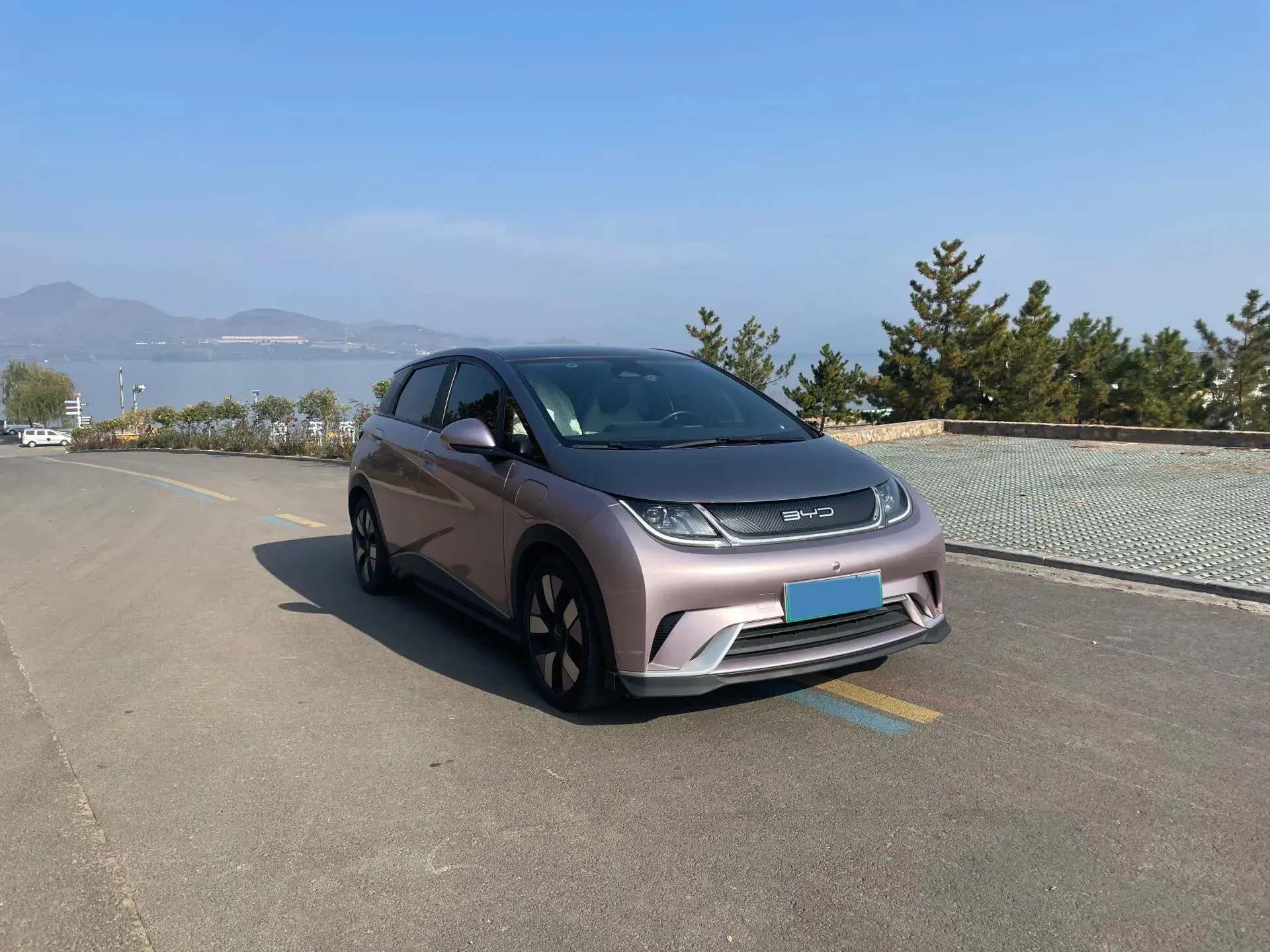 2023 BYD DOLPHIN thumbnail 3