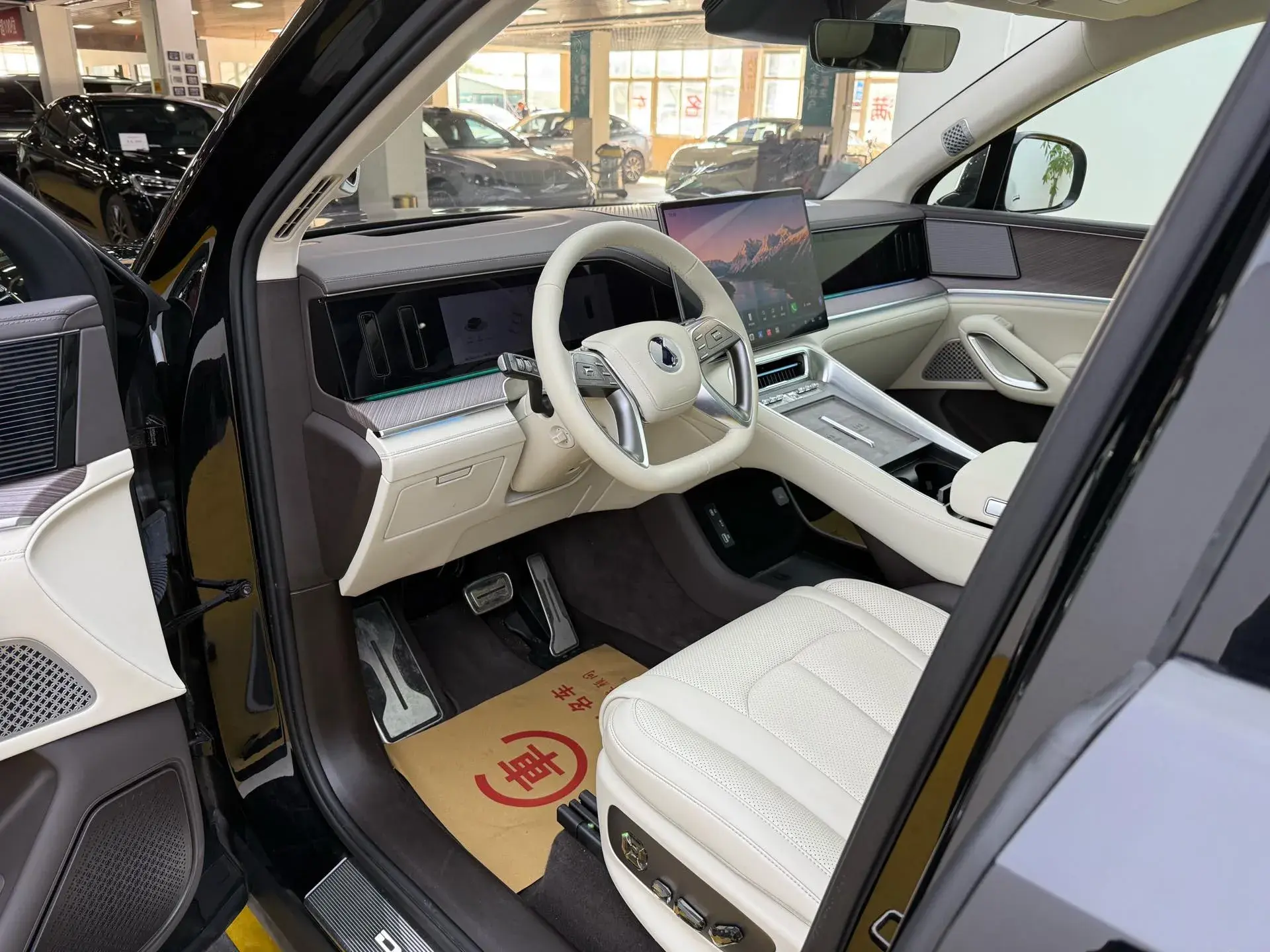 2025 DENZA DENZAN9 thumbnail 4