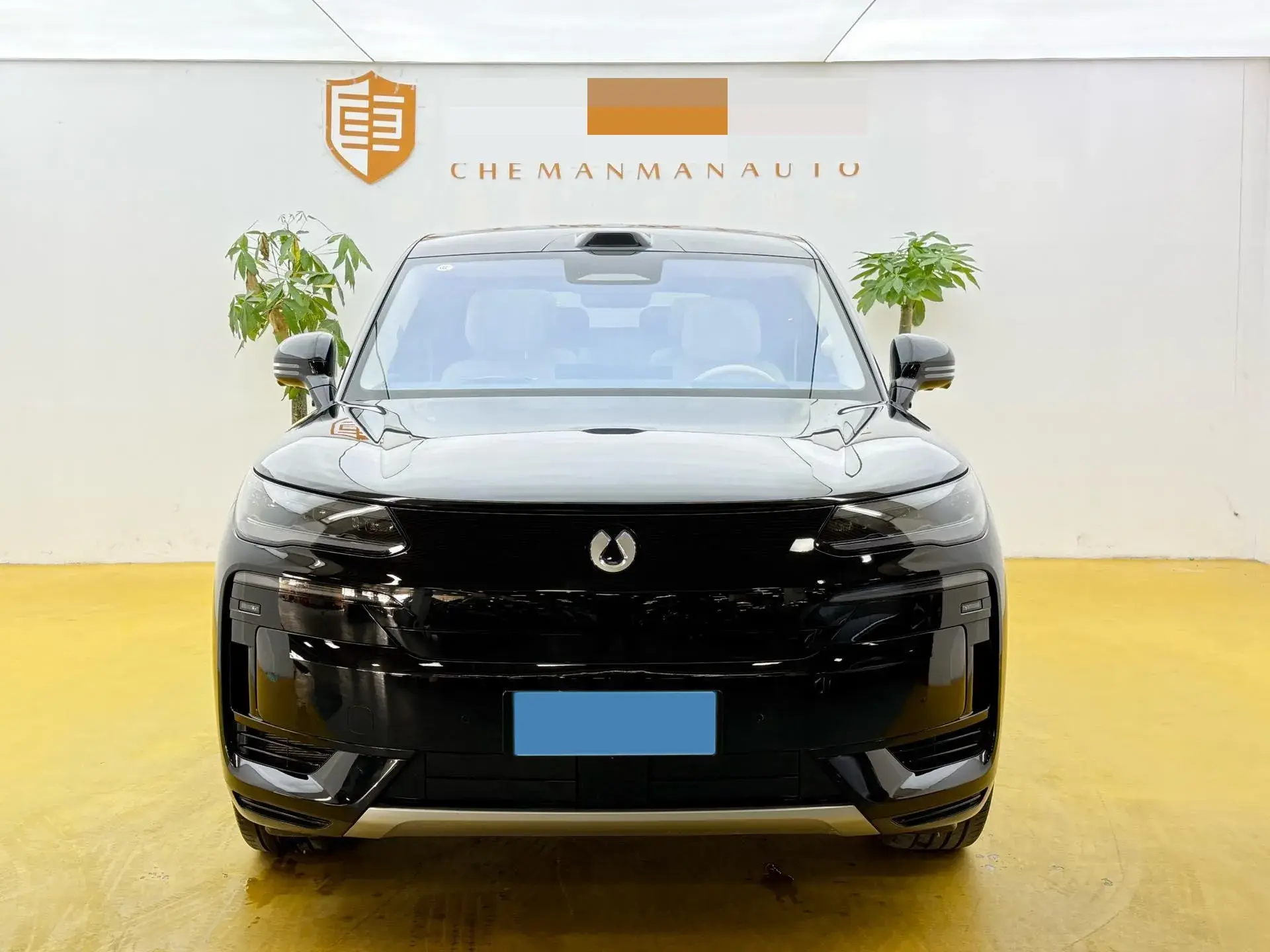 2025 DENZA DENZAN9 thumbnail 2