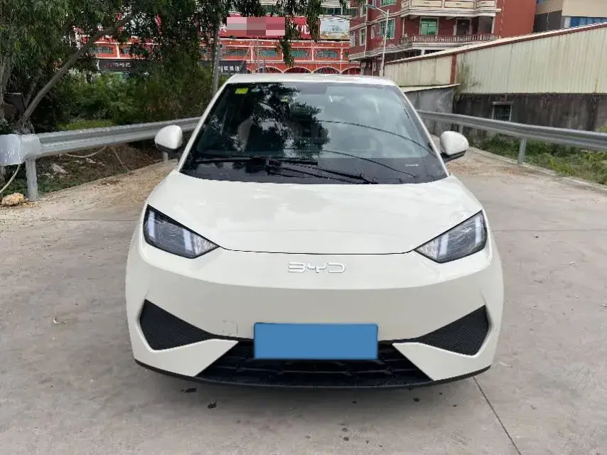 2025 BYD SEAGULL thumbnail 2