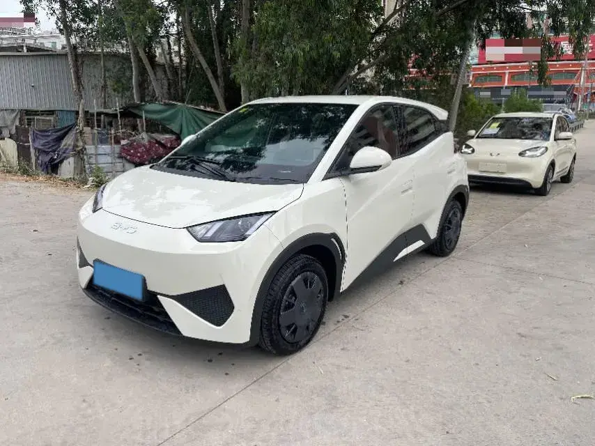 2025 BYD SEAGULL view 1