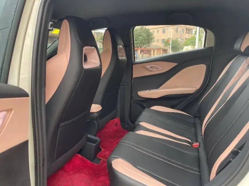 2025 BYD SEAGULL thumbnail 4