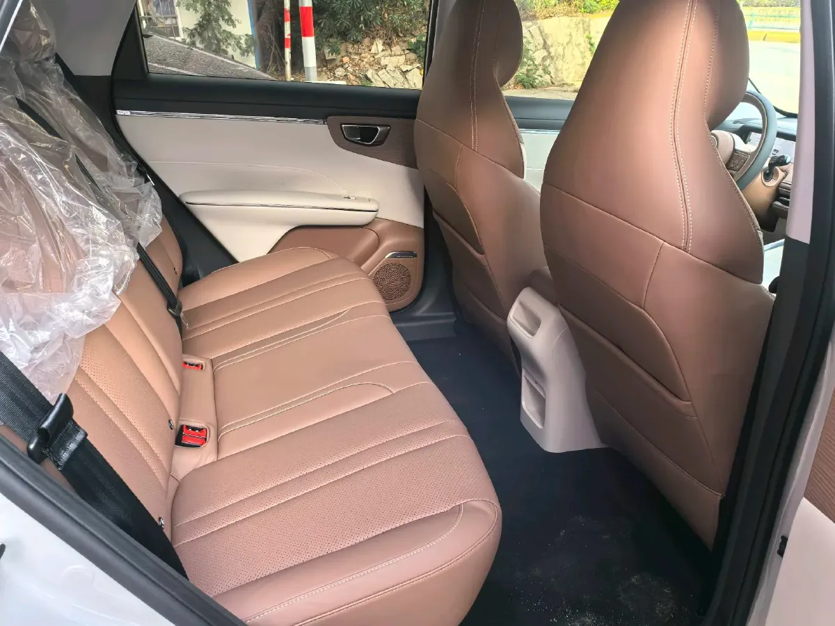 2025 WuLing BinGuo S BEV,autocango,china used car exporter,china ev exporter,chinese used car exporter,chinese used ev exporter