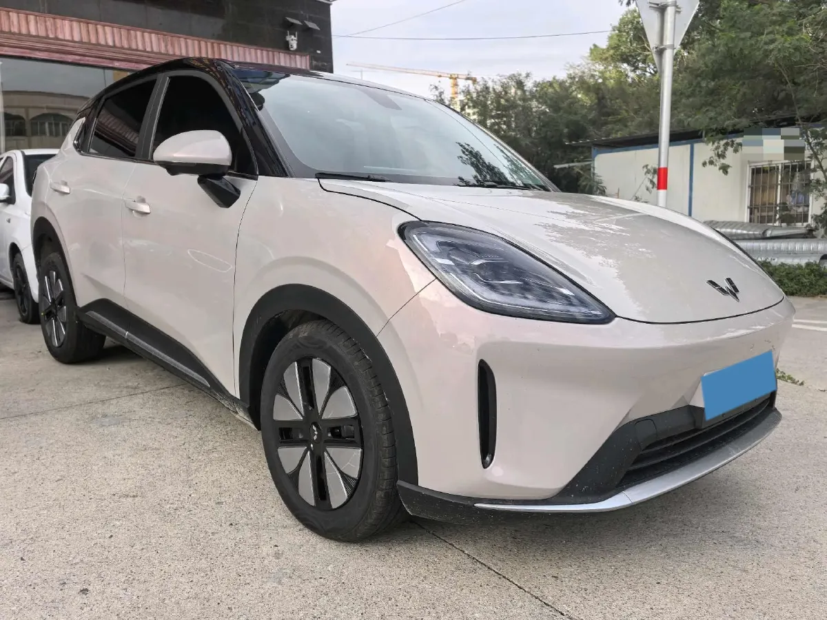 2025 WuLing BinGuo S BEV,autocango,china used car exporter,china ev exporter,chinese used car exporter,chinese used ev exporter