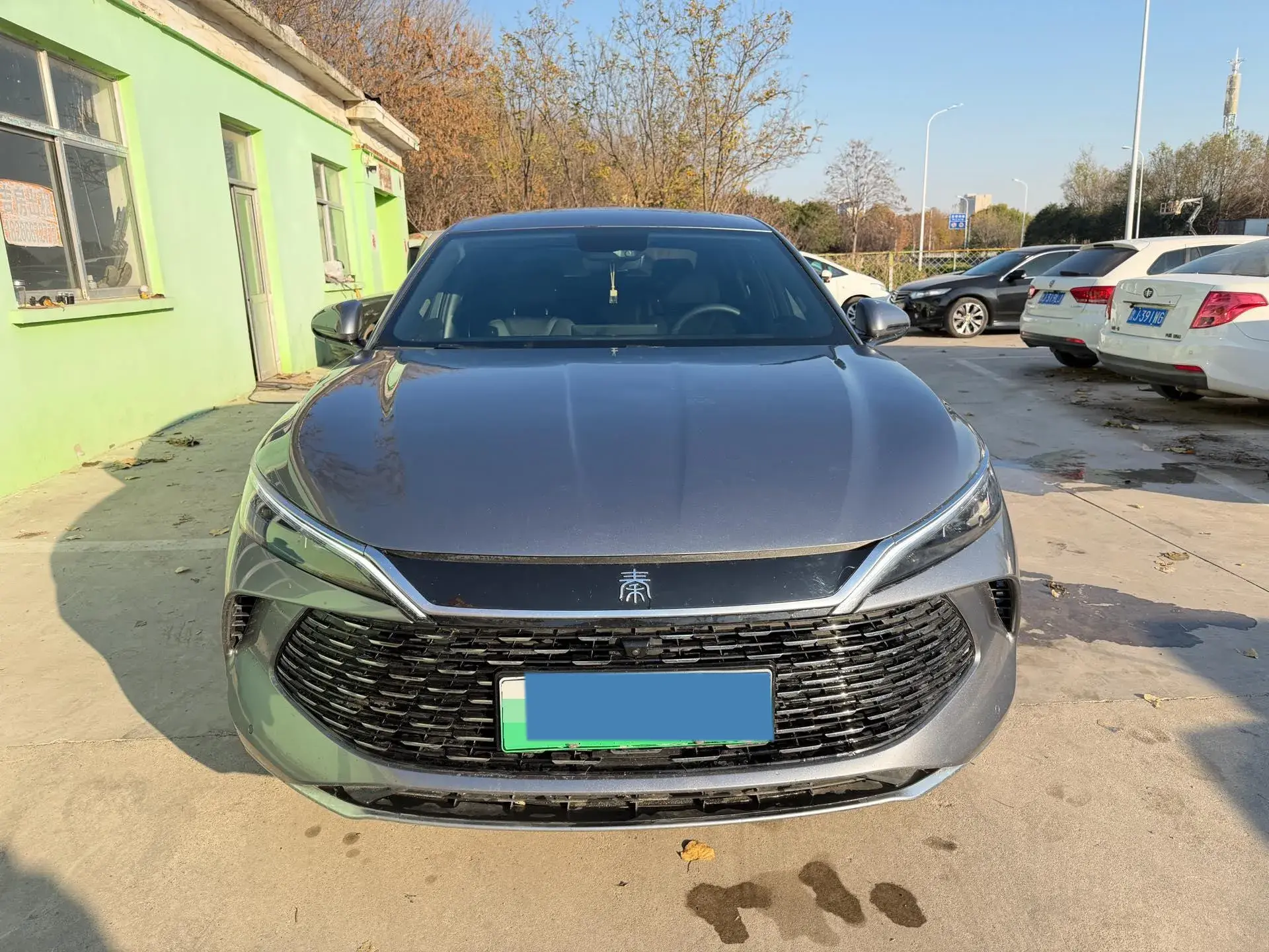 2024 BYD QINL thumbnail 2