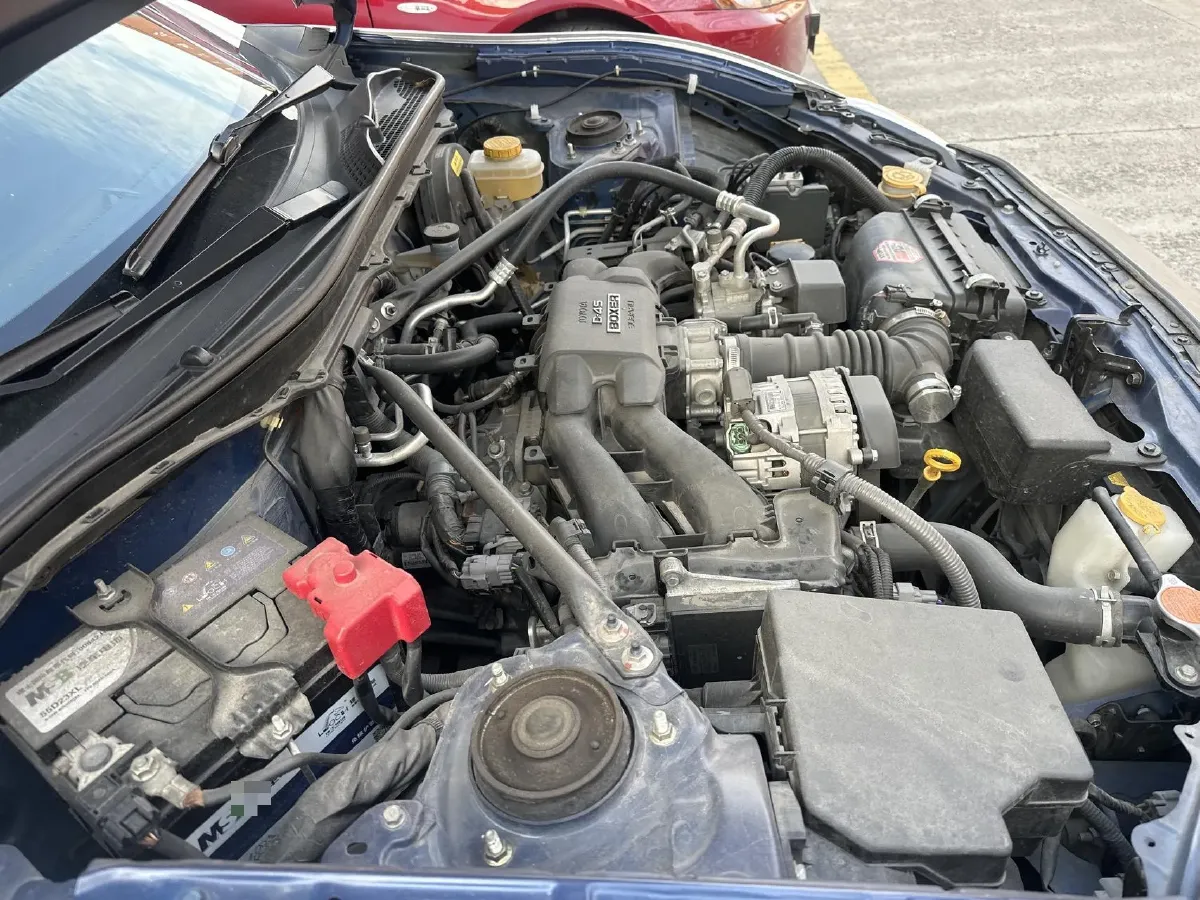 2019 Ford Focus 2.3T 280HP L4 6MT,autocango,china used car exporter,china ev exporter,chinese used car exporter,chinese used ev exporter