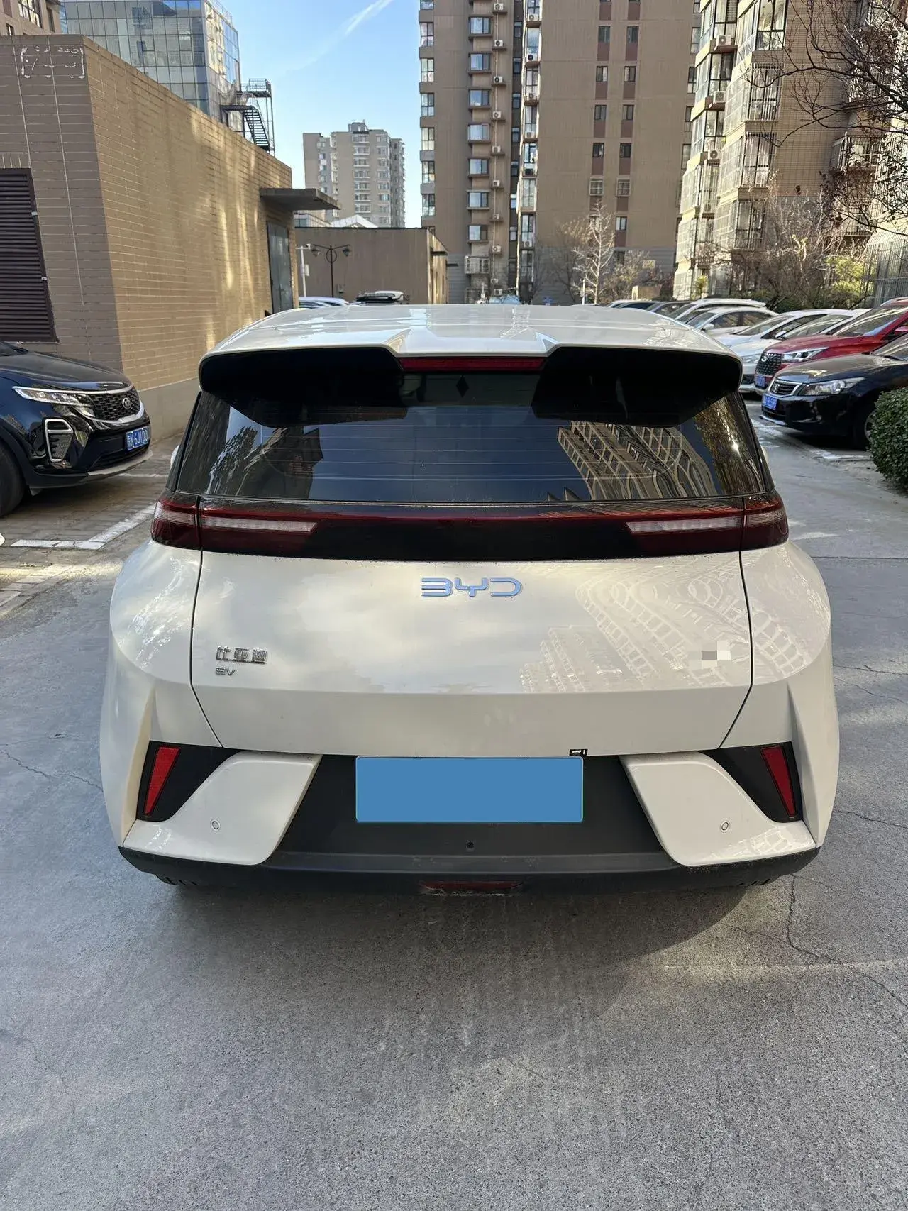 2025 BYD SEAGULL thumbnail 3