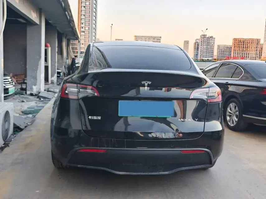 2021 TESLA MODEL thumbnail 4