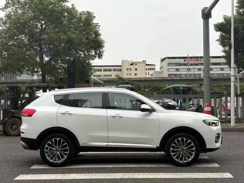2020 HAVAL H6 thumbnail 4