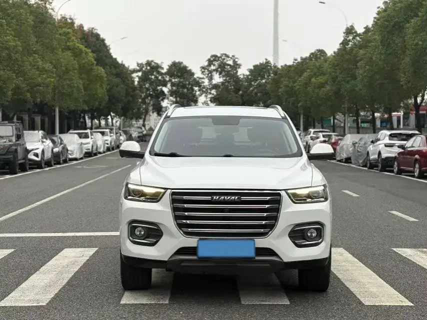 2020 HAVAL H6 thumbnail 2