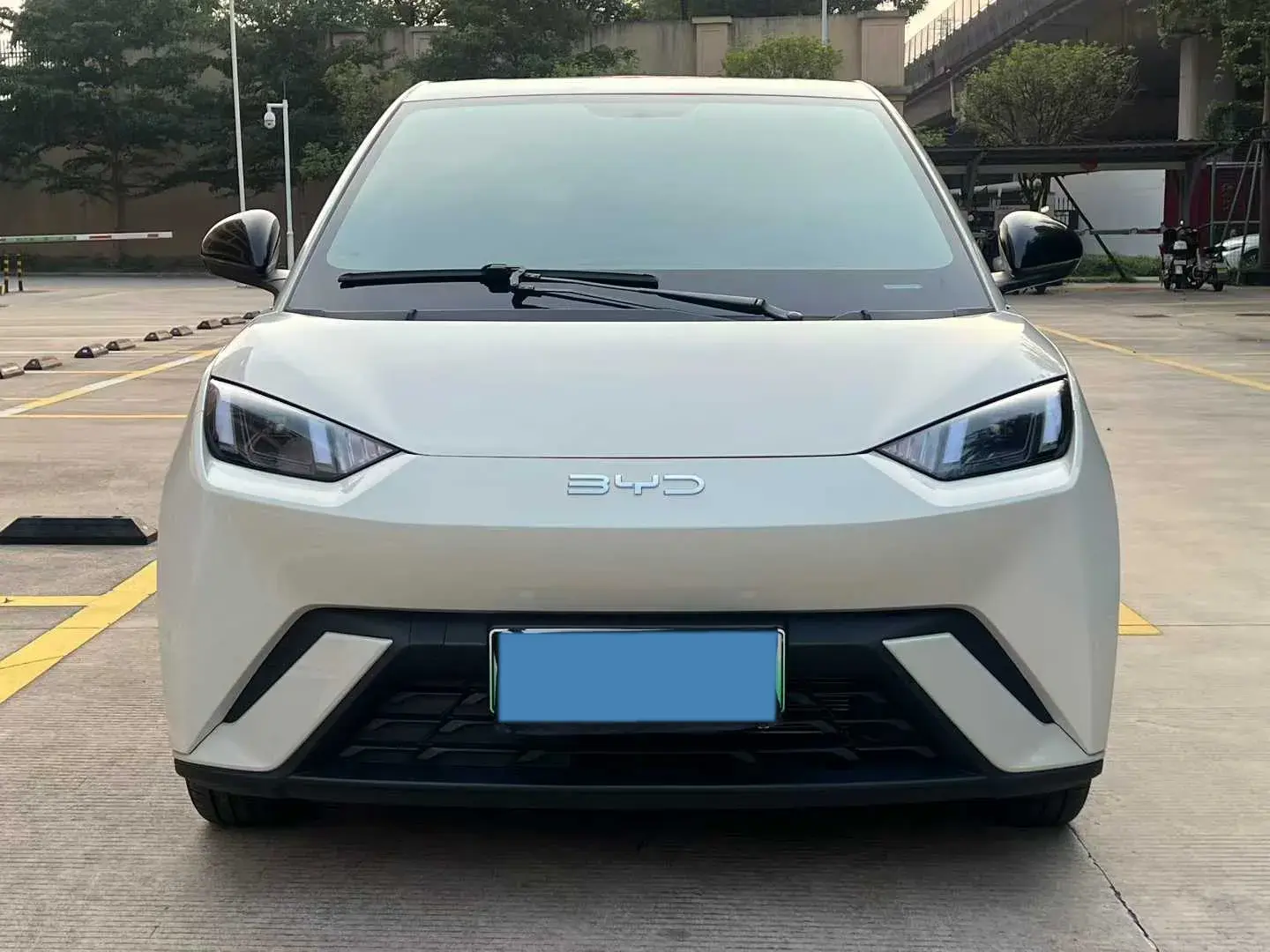 2025 BYD SEAGULL thumbnail 2