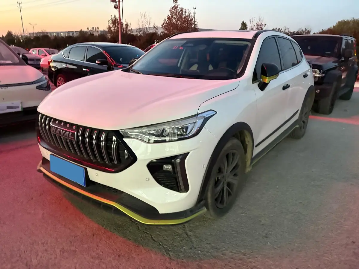 2021 Haval Rabbit 1.5T 184HP L4 7DCT