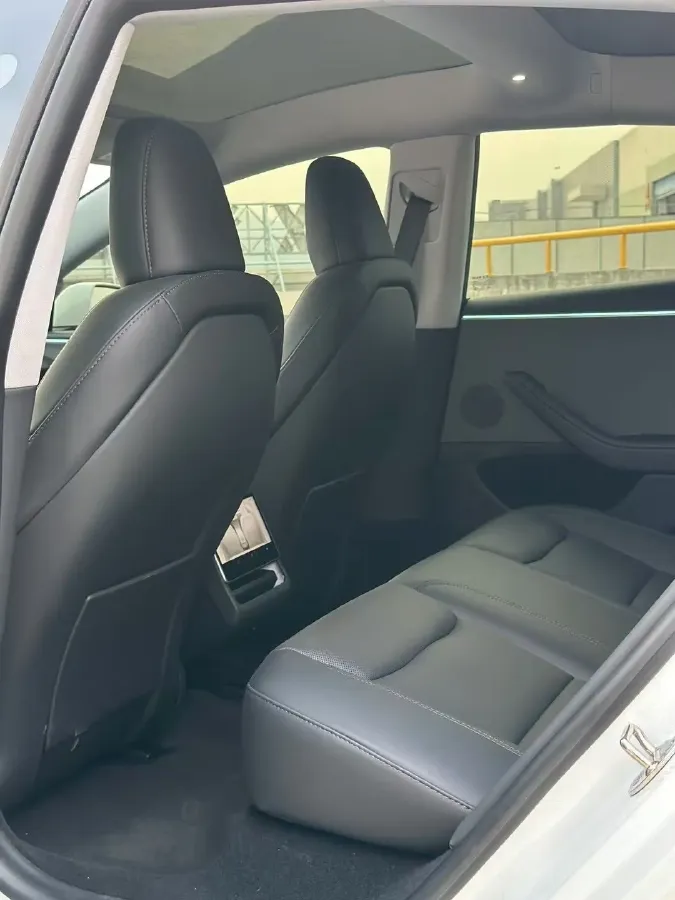 2023 Tesla Model 3 BEV 60KWH,autocango,china used car exporter,china ev exporter,chinese used car exporter,chinese used ev exporter