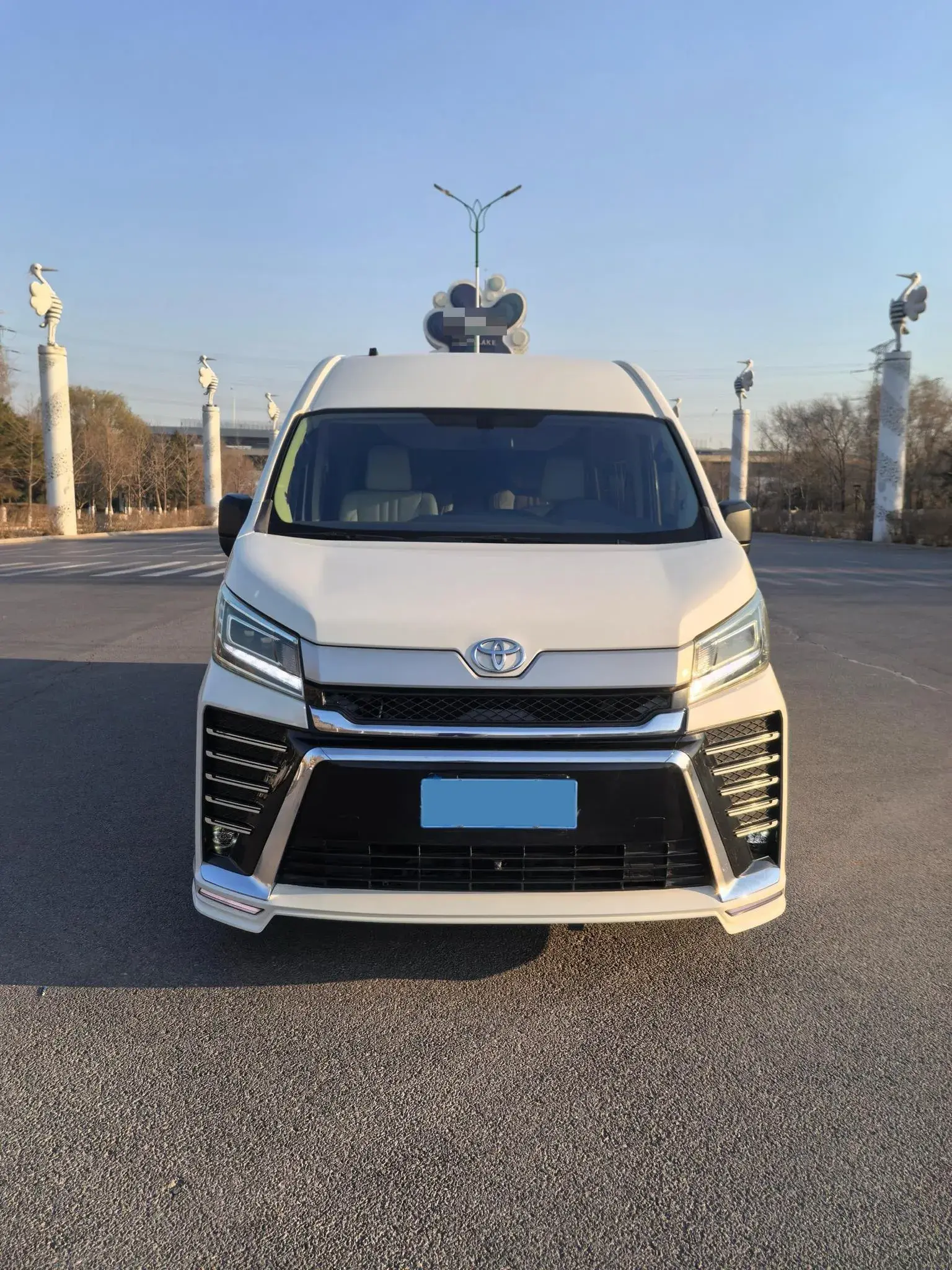 2019 GOLDEN DRAGON thumbnail 3