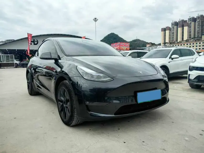 2024 TESLA MODEL thumbnail 3