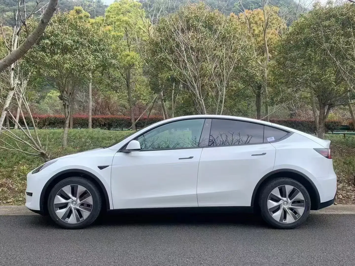 2021 TESLA MODEL thumbnail 2