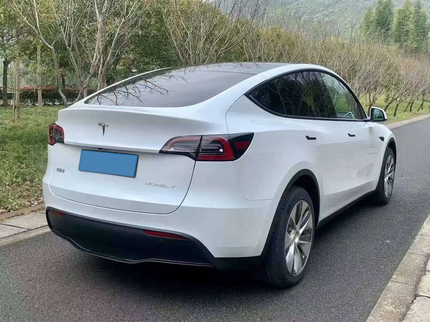 2021 TESLA MODEL thumbnail 4