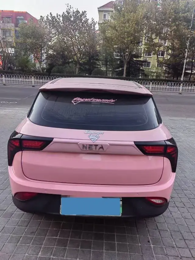 2021 NETA V thumbnail 4