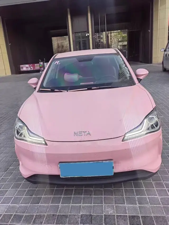 2021 NETA V thumbnail 3