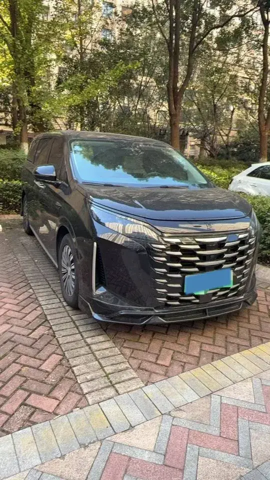 2025 BYD XIA thumbnail 2