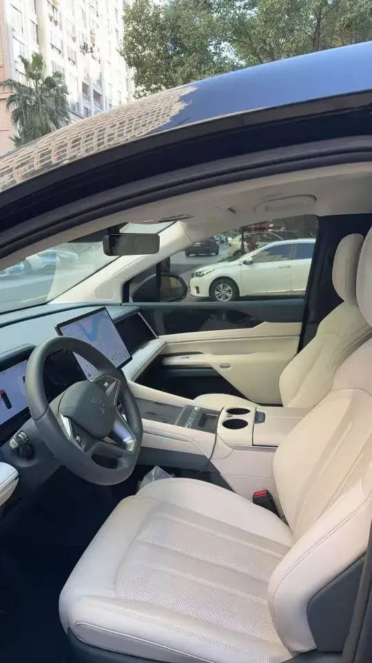 2025 BYD XIA thumbnail 4