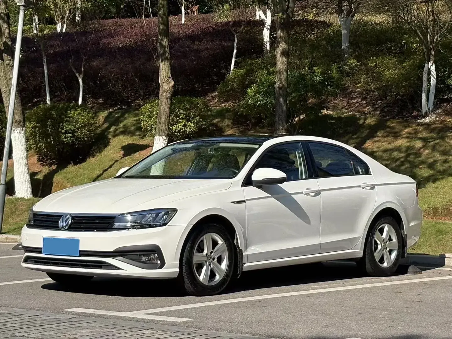 2019 VOLKSWAGEN LAMANDO view 1