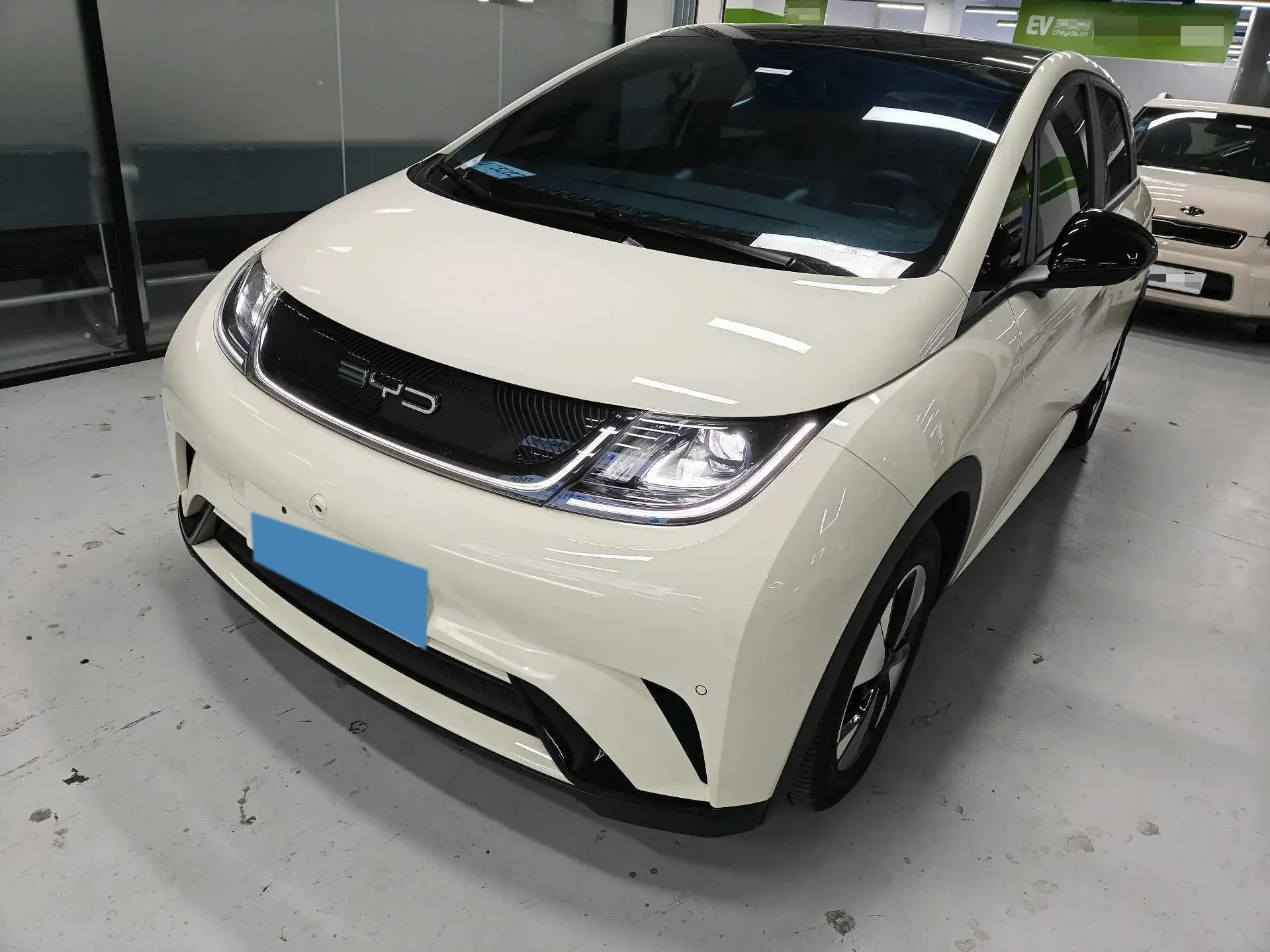 2023 BYD DOLPHIN view 1