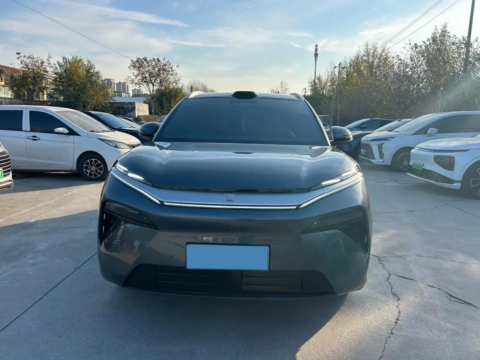 2025 BYD TANGL thumbnail 2