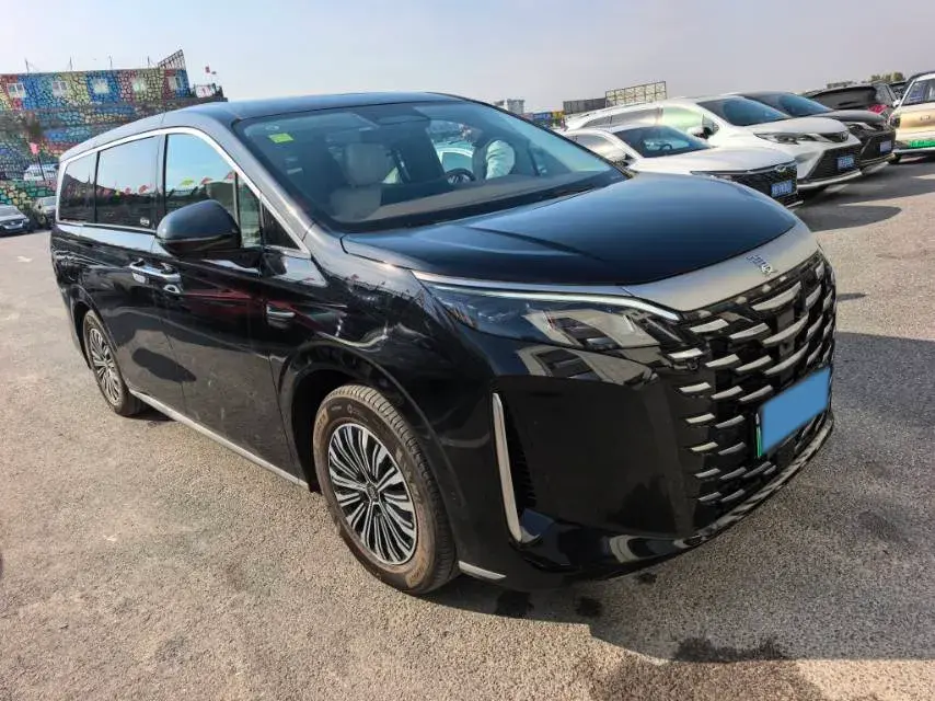 2025 BYD XIA thumbnail 3