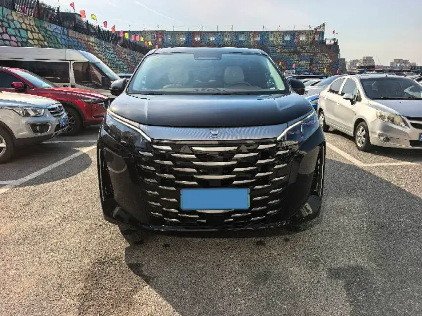 2025 BYD XIA thumbnail 2