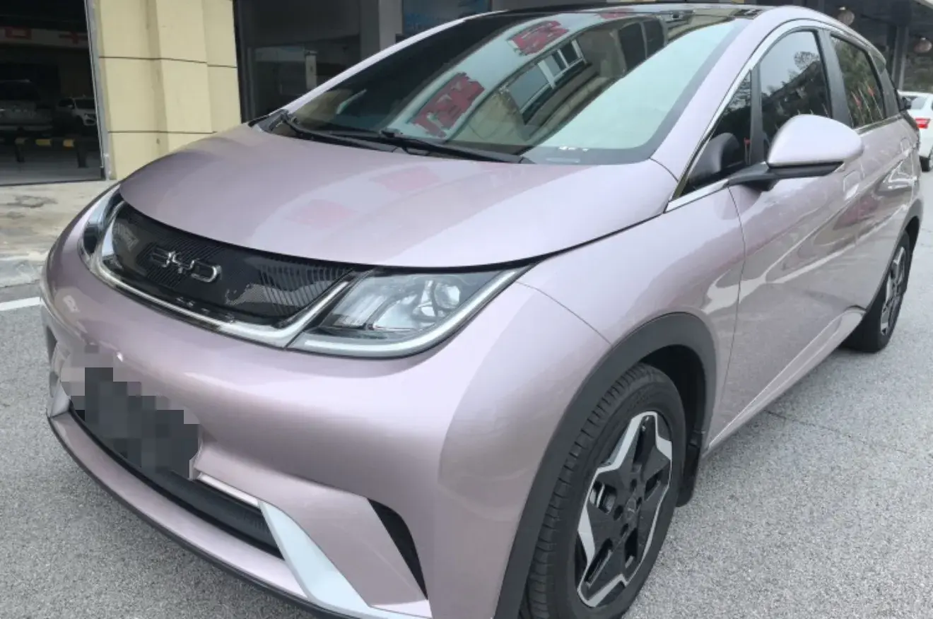 2023 BYD DOLPHIN view 1