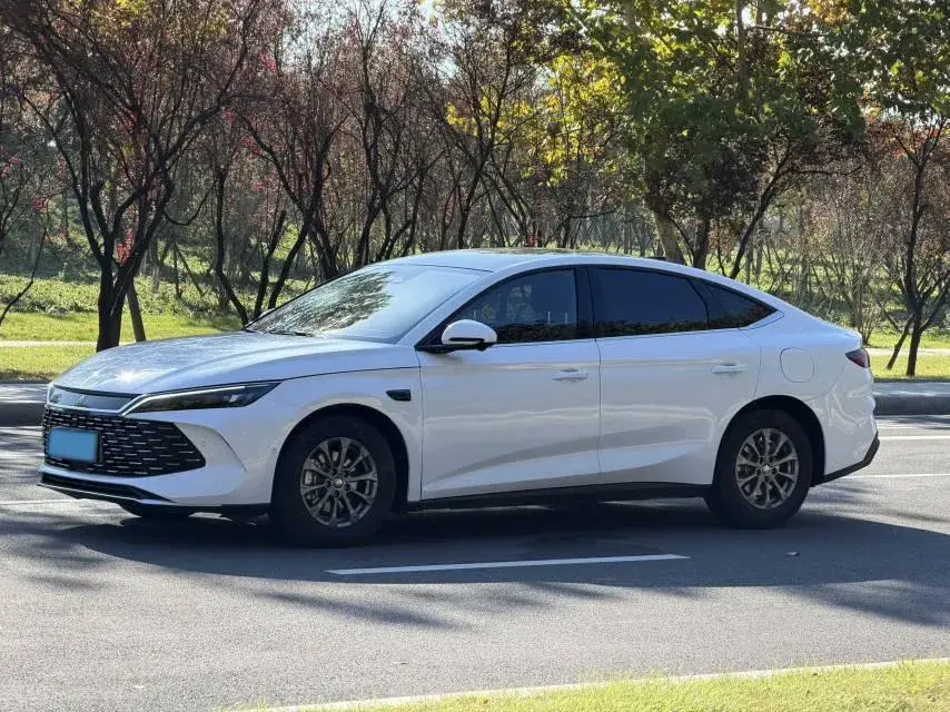 2025 BYD QINL view 1