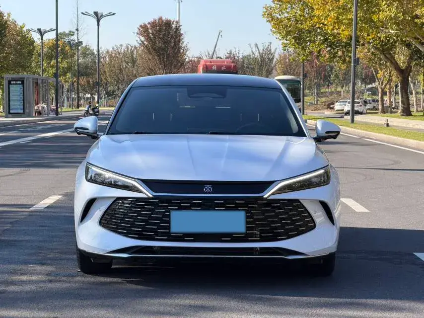 2025 BYD QINL thumbnail 2