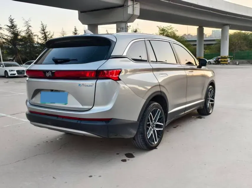 2020 Weltmeister EX6 BEV 69KWH,autocango,china used car exporter,china ev exporter,chinese used car exporter,chinese used ev exporter
