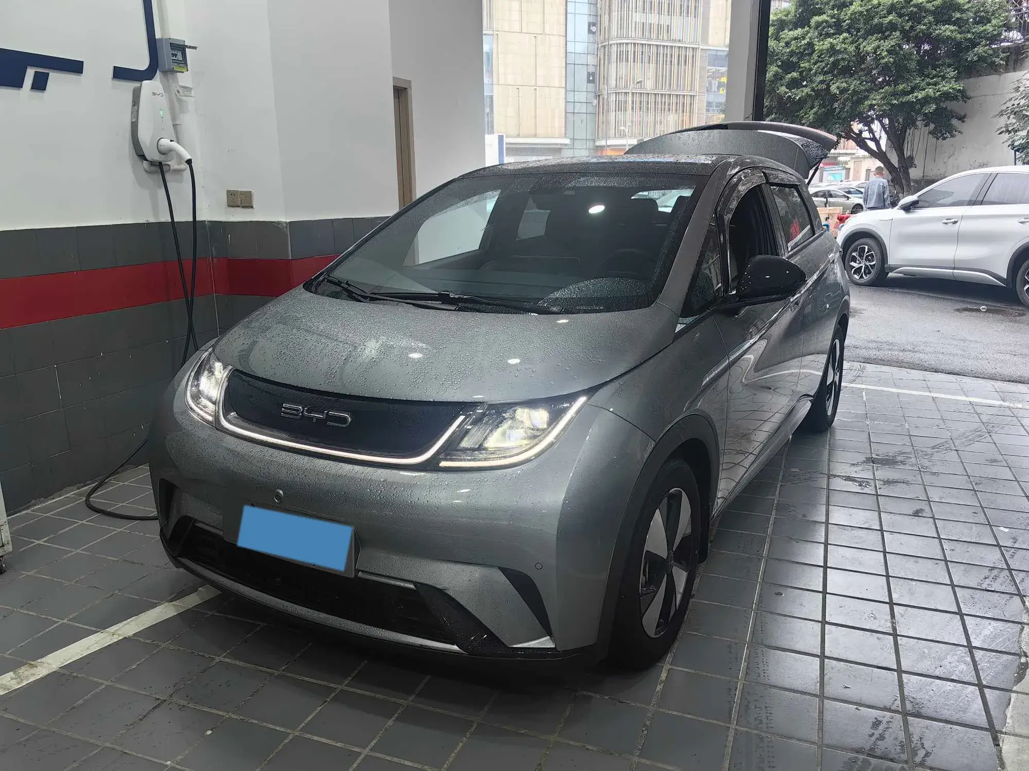 2023 BYD DOLPHIN view 1