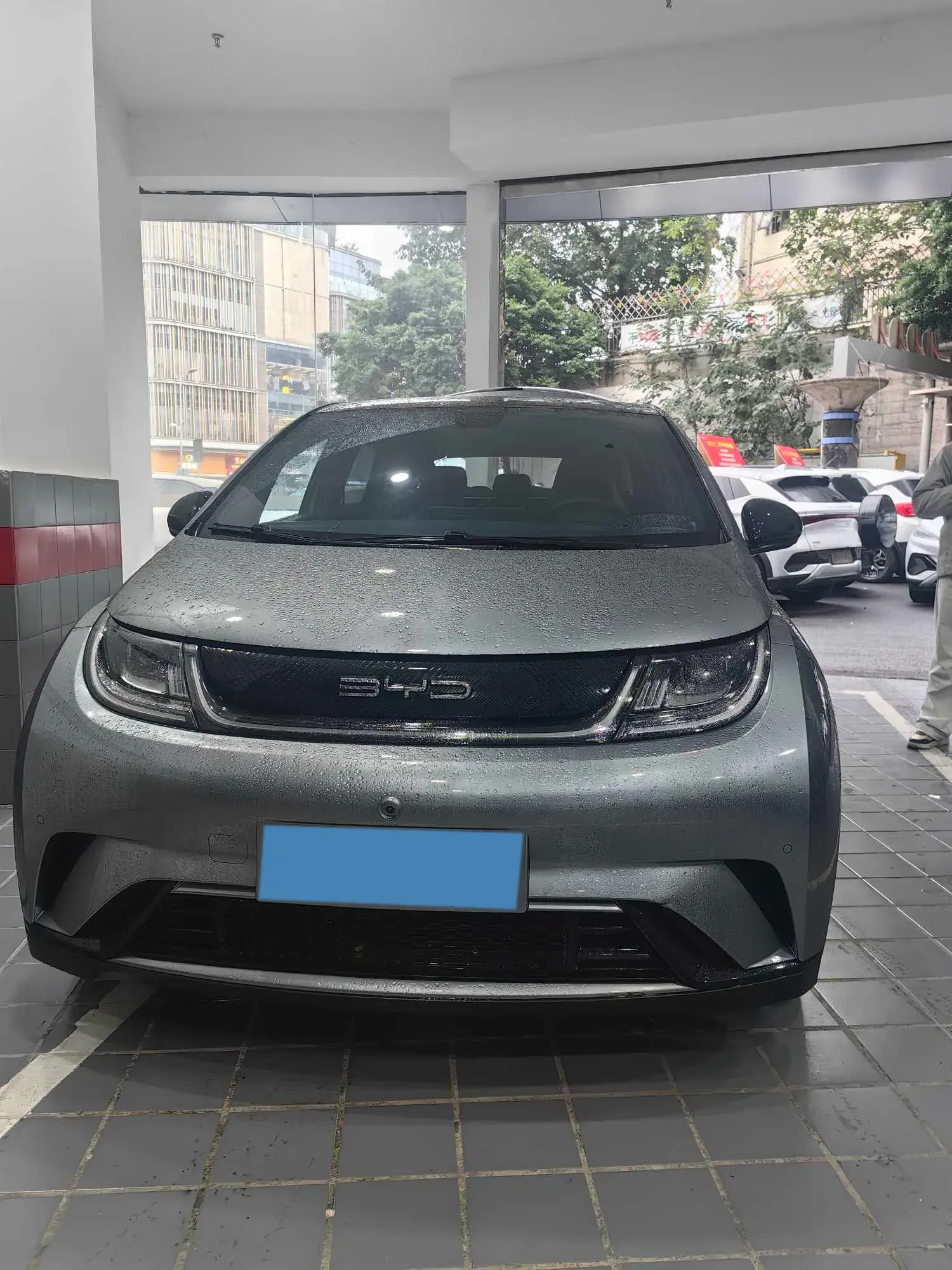 2023 BYD DOLPHIN thumbnail 2