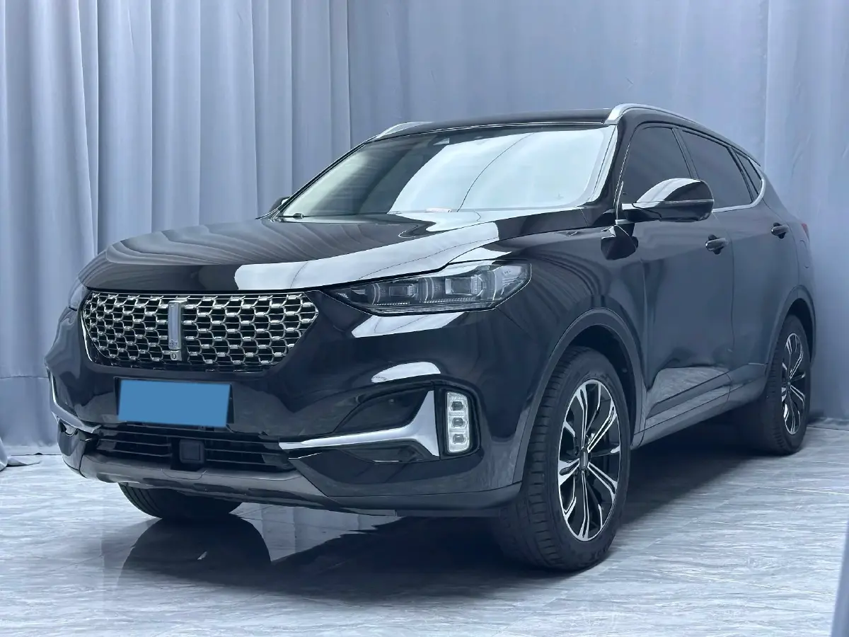 2021 WEY VV6 2.0T 227HP L4 7DCT