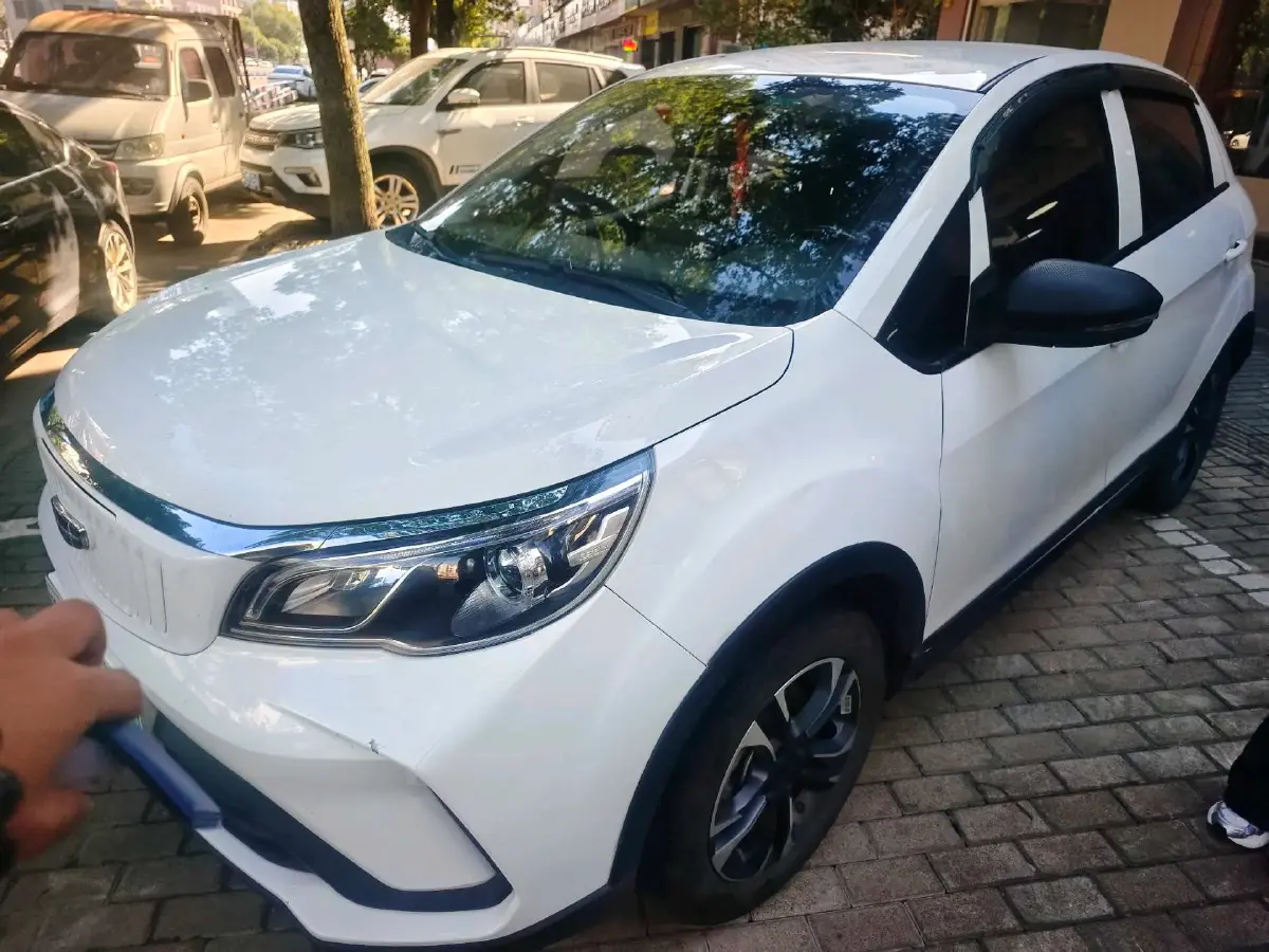 2021 Geometry EX3 BEV 37.23KWH