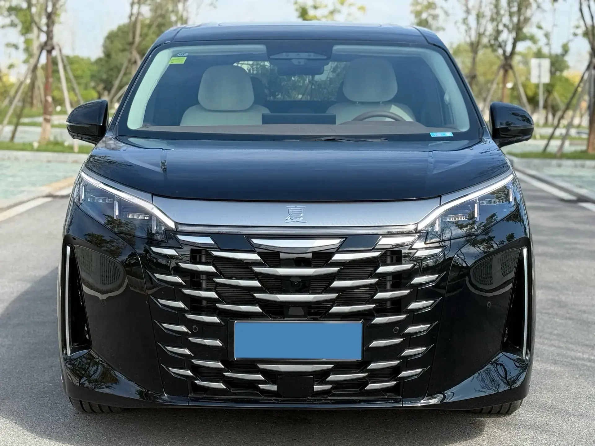 2025 BYD XIA thumbnail 2