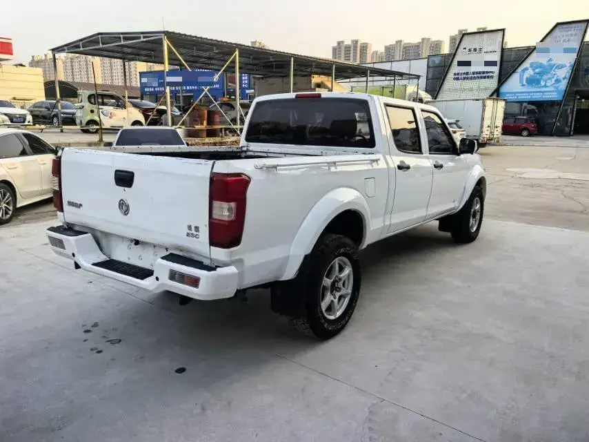 2021 DONGFENG RUIQI thumbnail 4