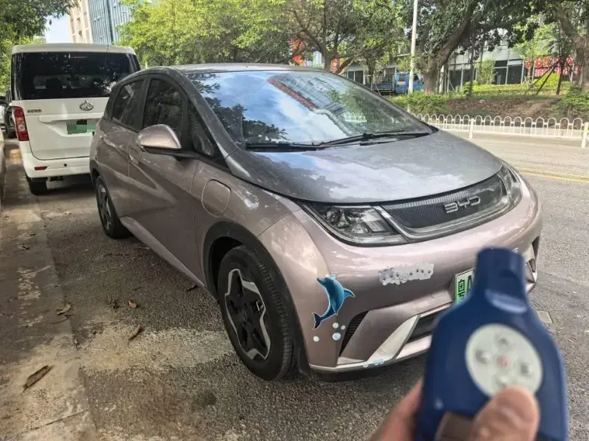 2021 BYD DOLPHIN thumbnail 3