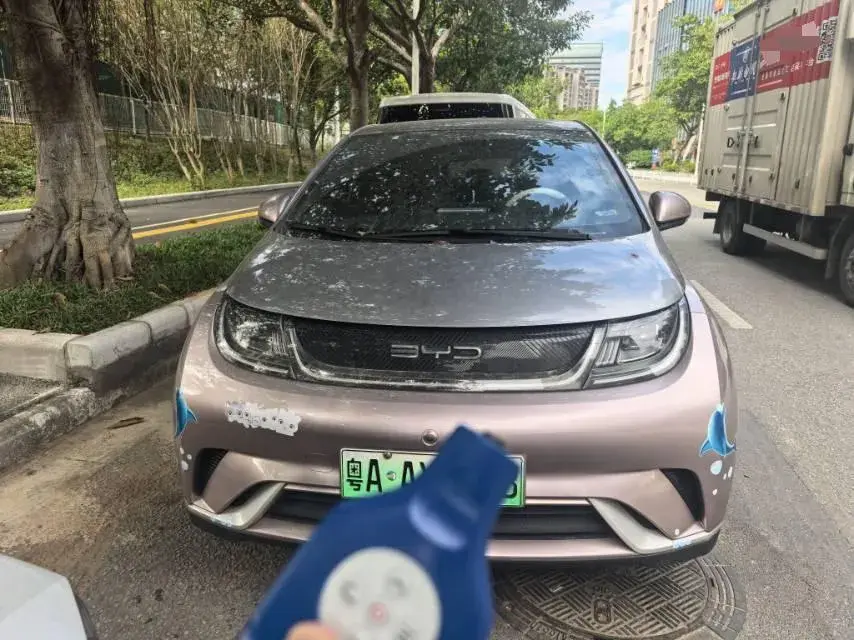 2021 BYD DOLPHIN thumbnail 2